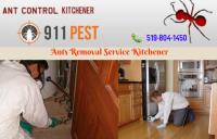 Pest Control Kitchener image 3